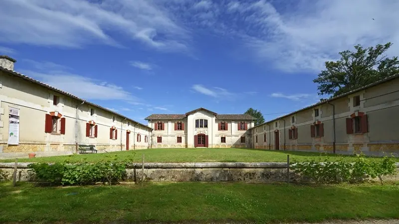 Saint_Pierre_de_Chigna_musee_vin_vigne_chai_lardimalie©M.De Mullenheim