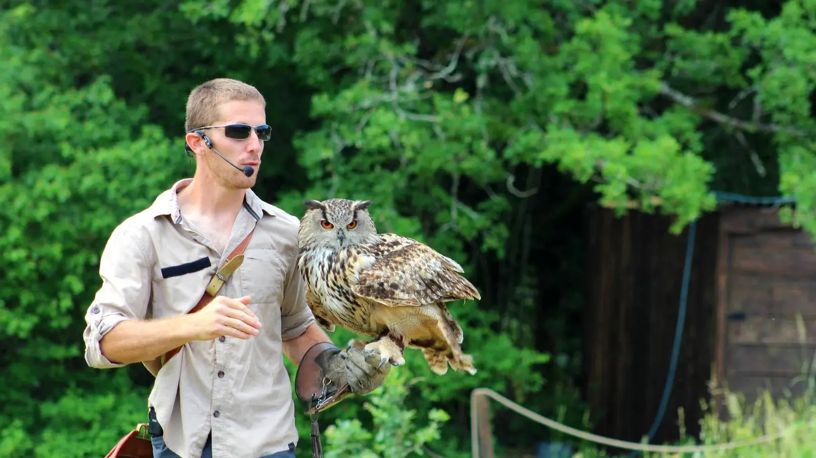 Spectacle rapaces