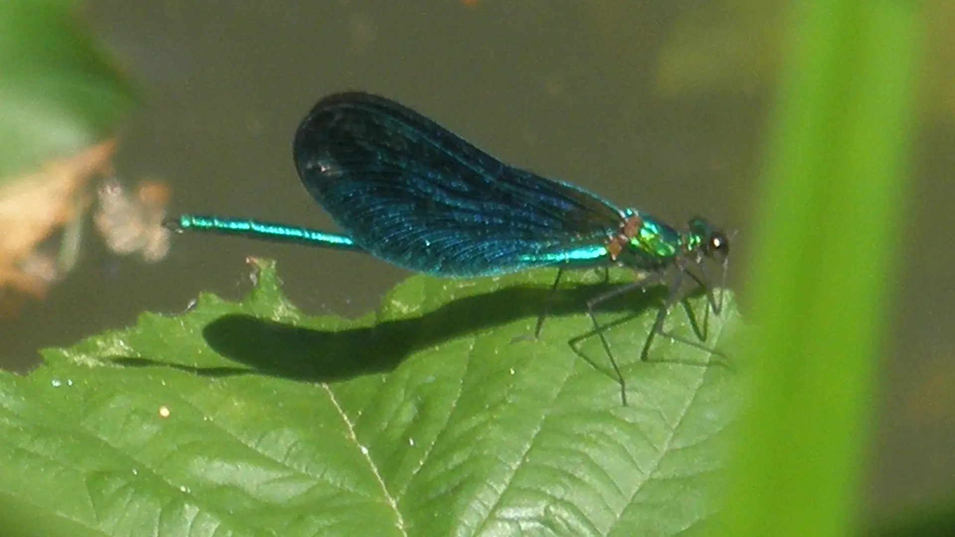 P6240234