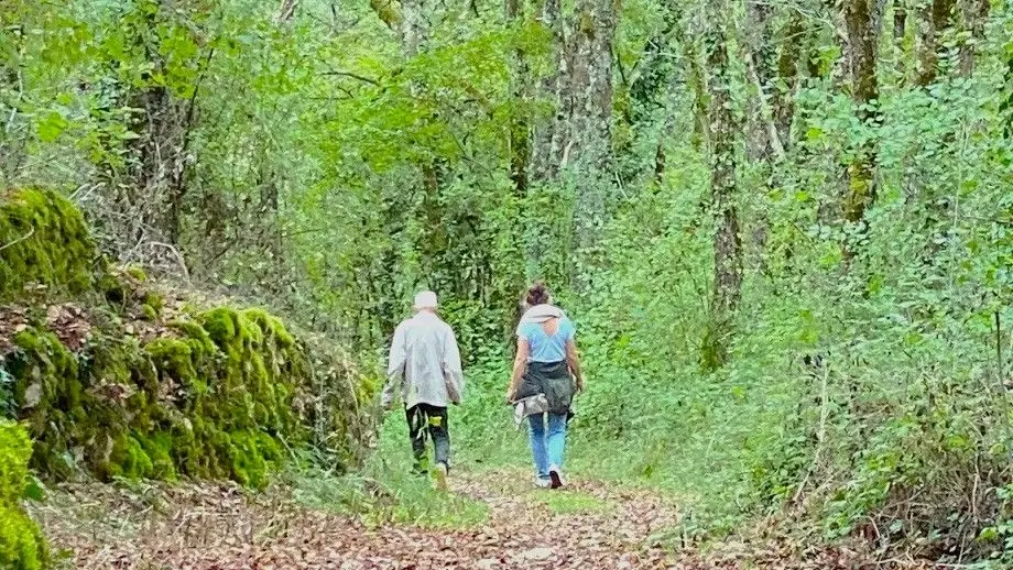PAUNAT-Boucle des Bertrandoux-Chemin-Randonneurs