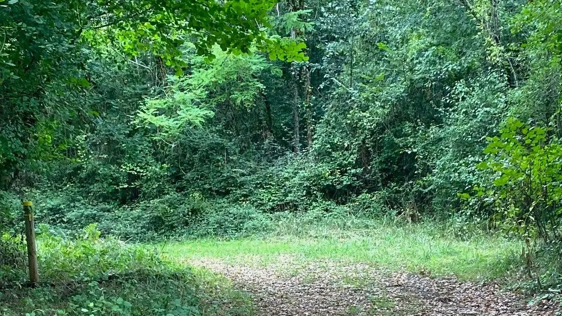 PAUNAT-Boucle des Montoises-Chemin 2