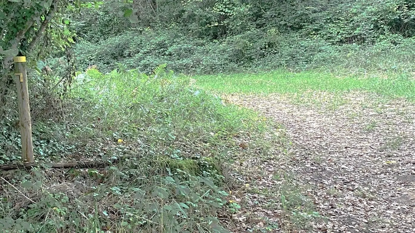 PAUNAT-Boucle des Montoises-Chemin-Poteau