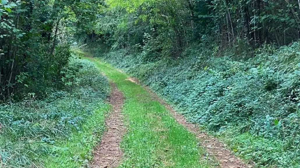PAUNAT-Boucle des Montoises-Chemin