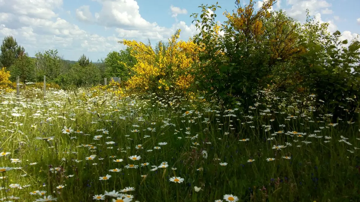 PCU-Jardins-de-Haute-Terre--9-