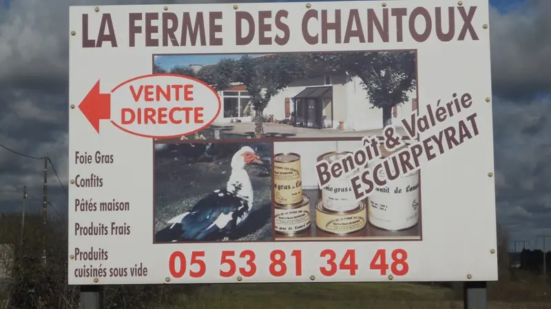 Bienvenue à la Ferme des Chantoux