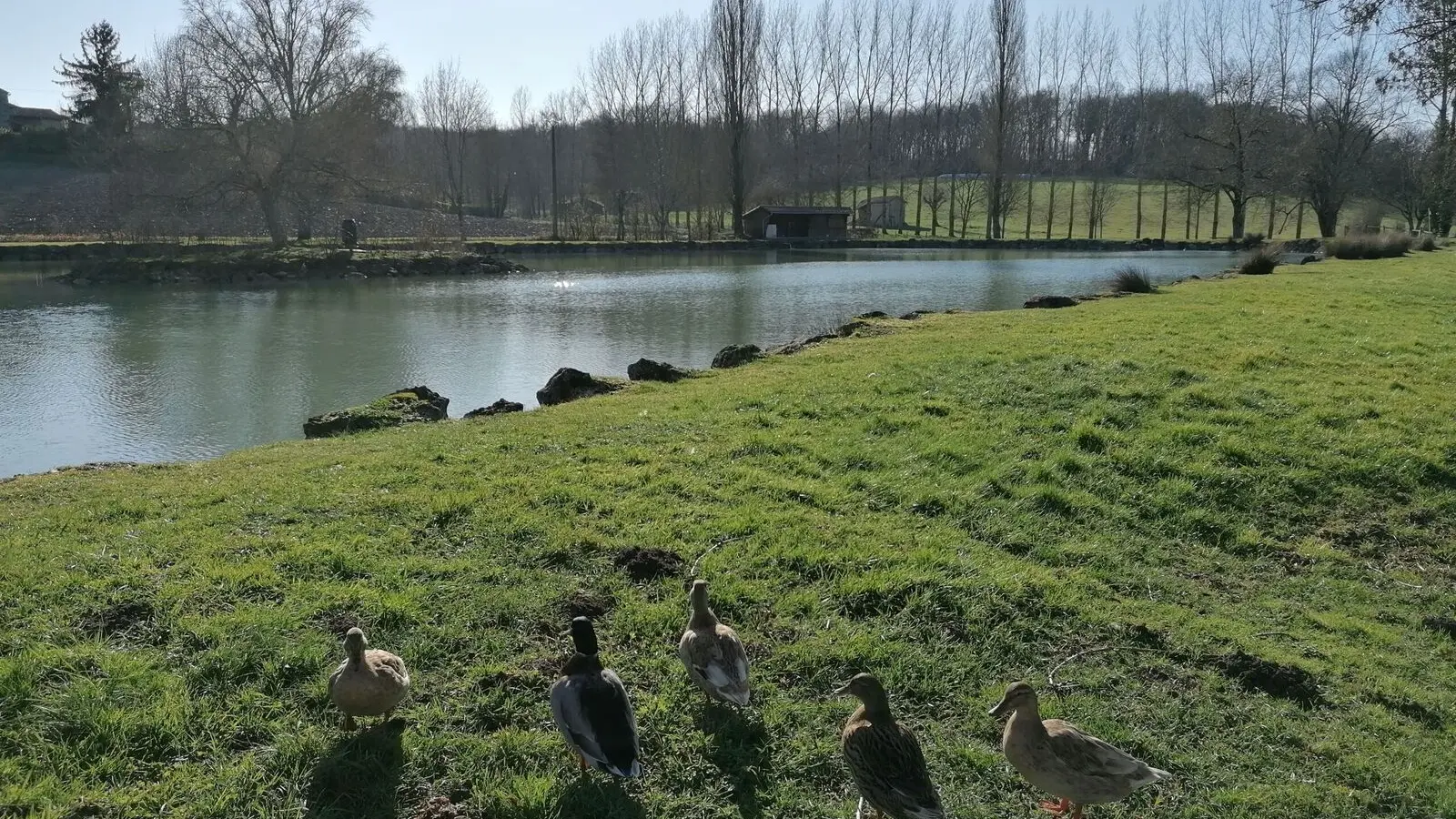Périgord Inattendu - Étang de Celles