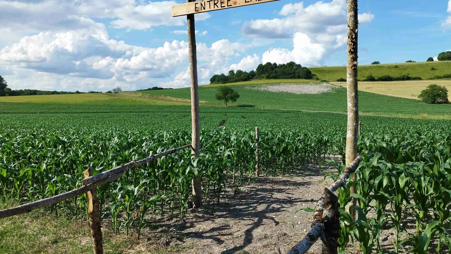 Périgord Inattendu - Labyrinthe de mais à Vendoire