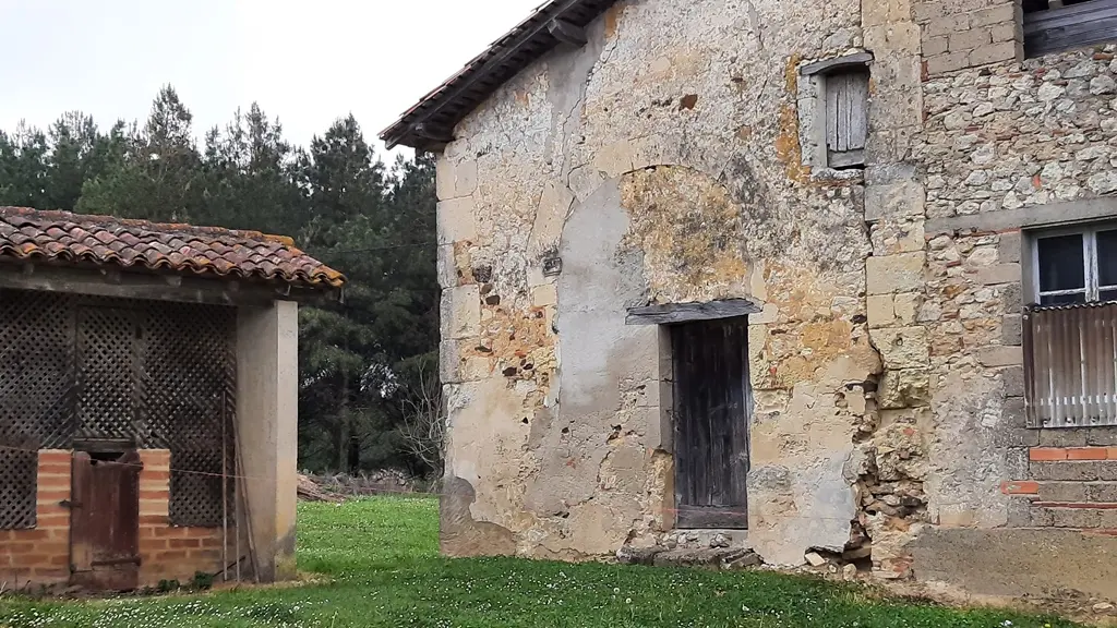 Rosa Greeter - les ruines