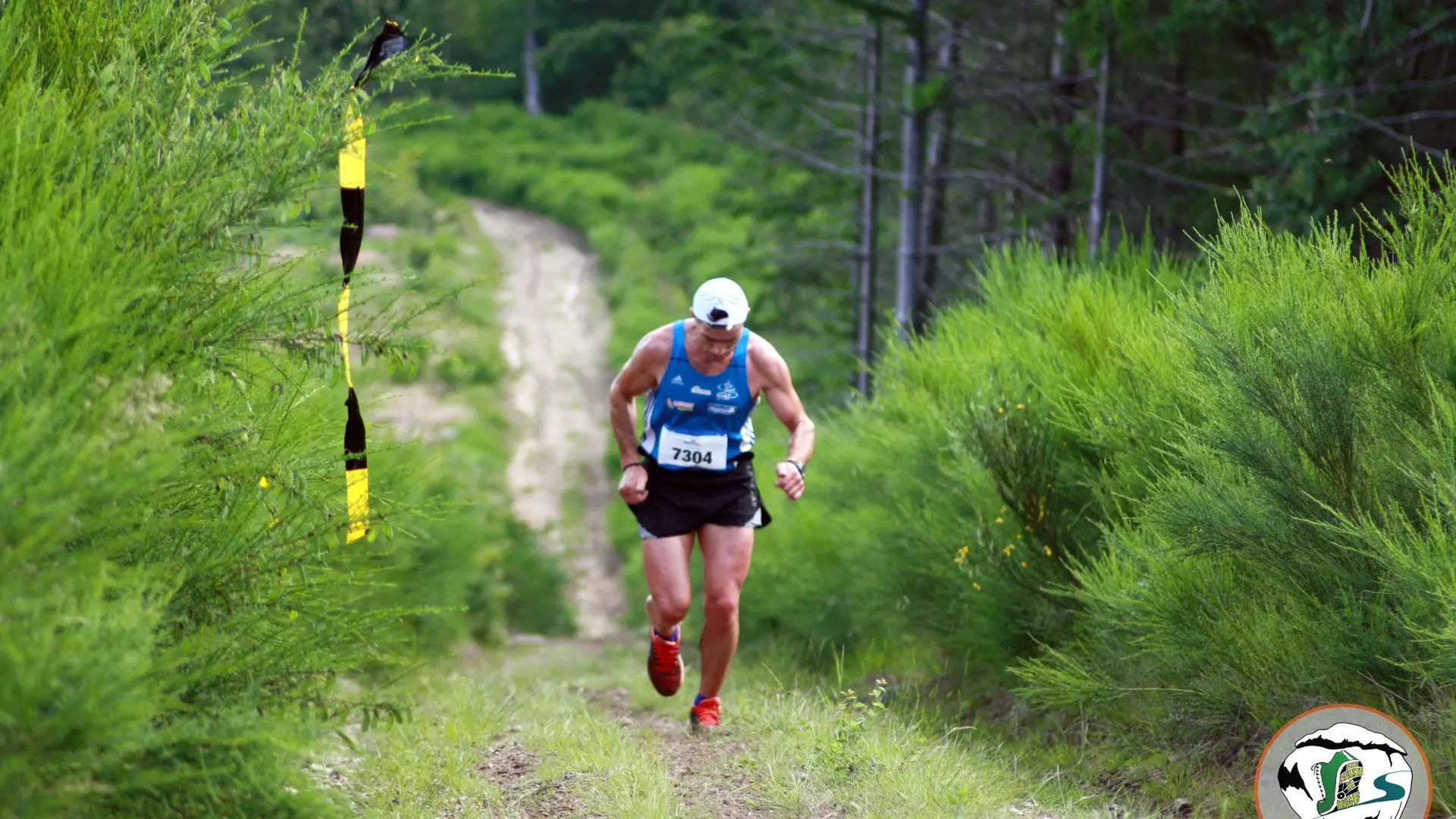 Trail de la Pierre du Loup 2019