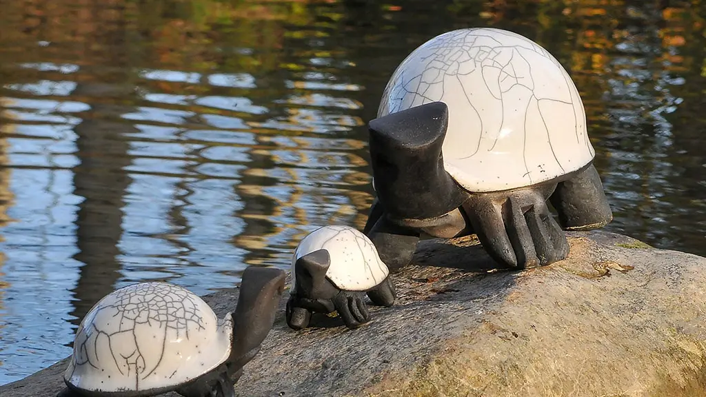 Tortues