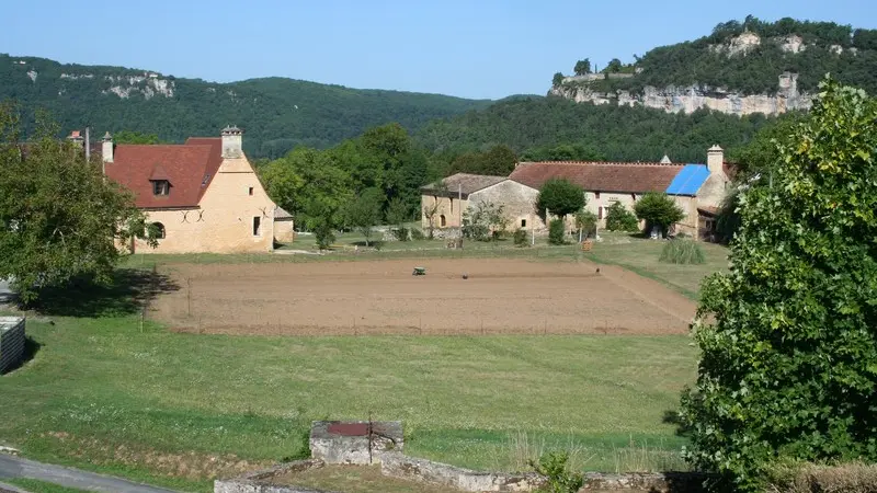 Vue-safraniere-les-safranelles