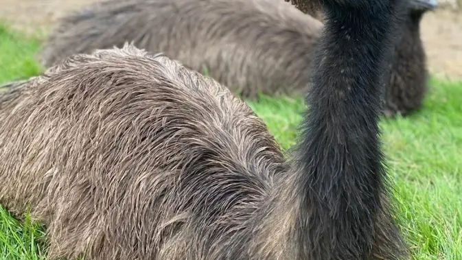 Zoo de Mescoules (5)