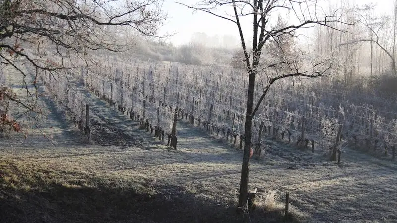 chateau-haut-fongrive-thenac (10)