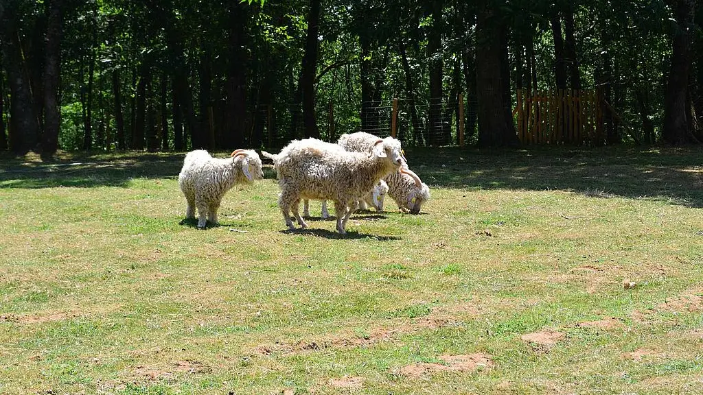 Mielys Sphere Ferme pédagogique Périgord Dordgne ateliers enfant vacances