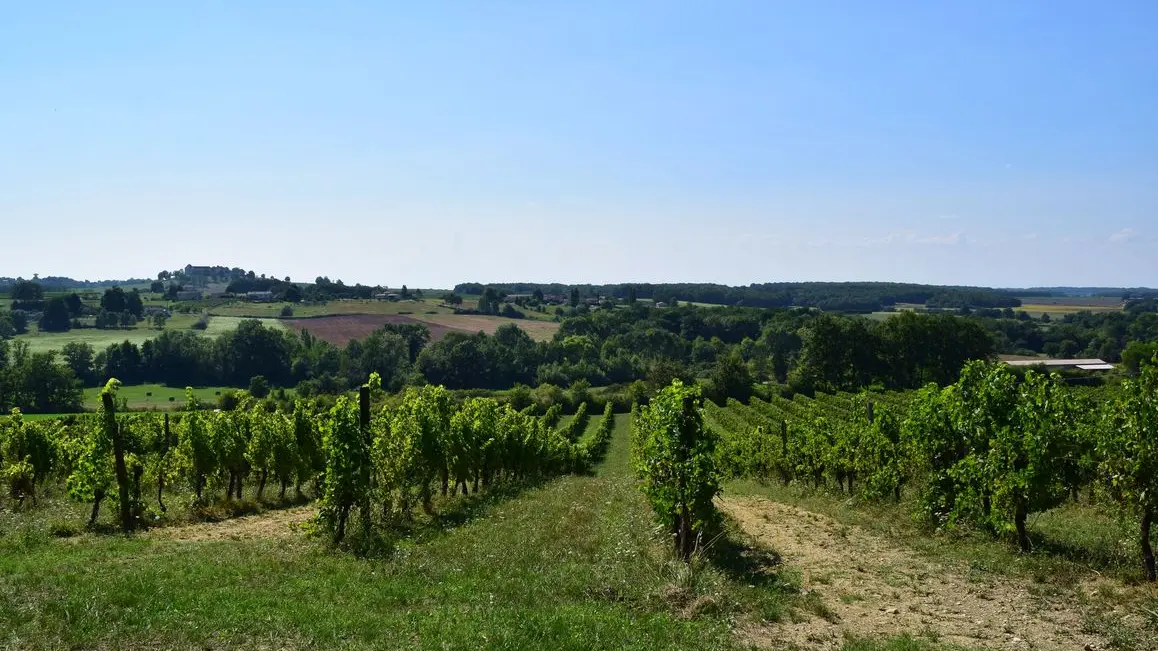 autour-saussignac-chateau-haut-fongrive (78)-2