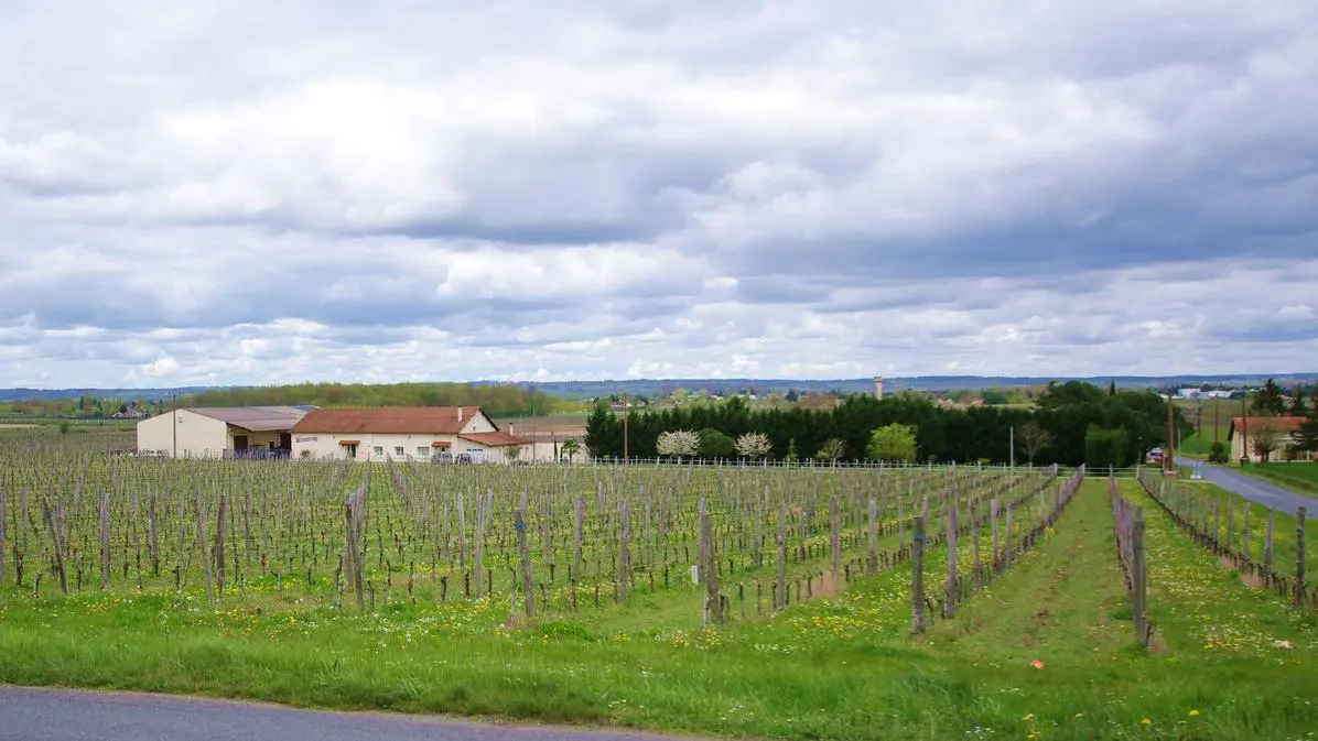 autour_saussignac-vignobles_gazziola (68)-2