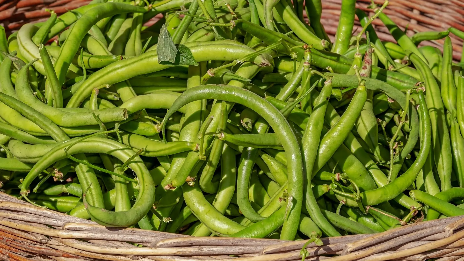 Légumes