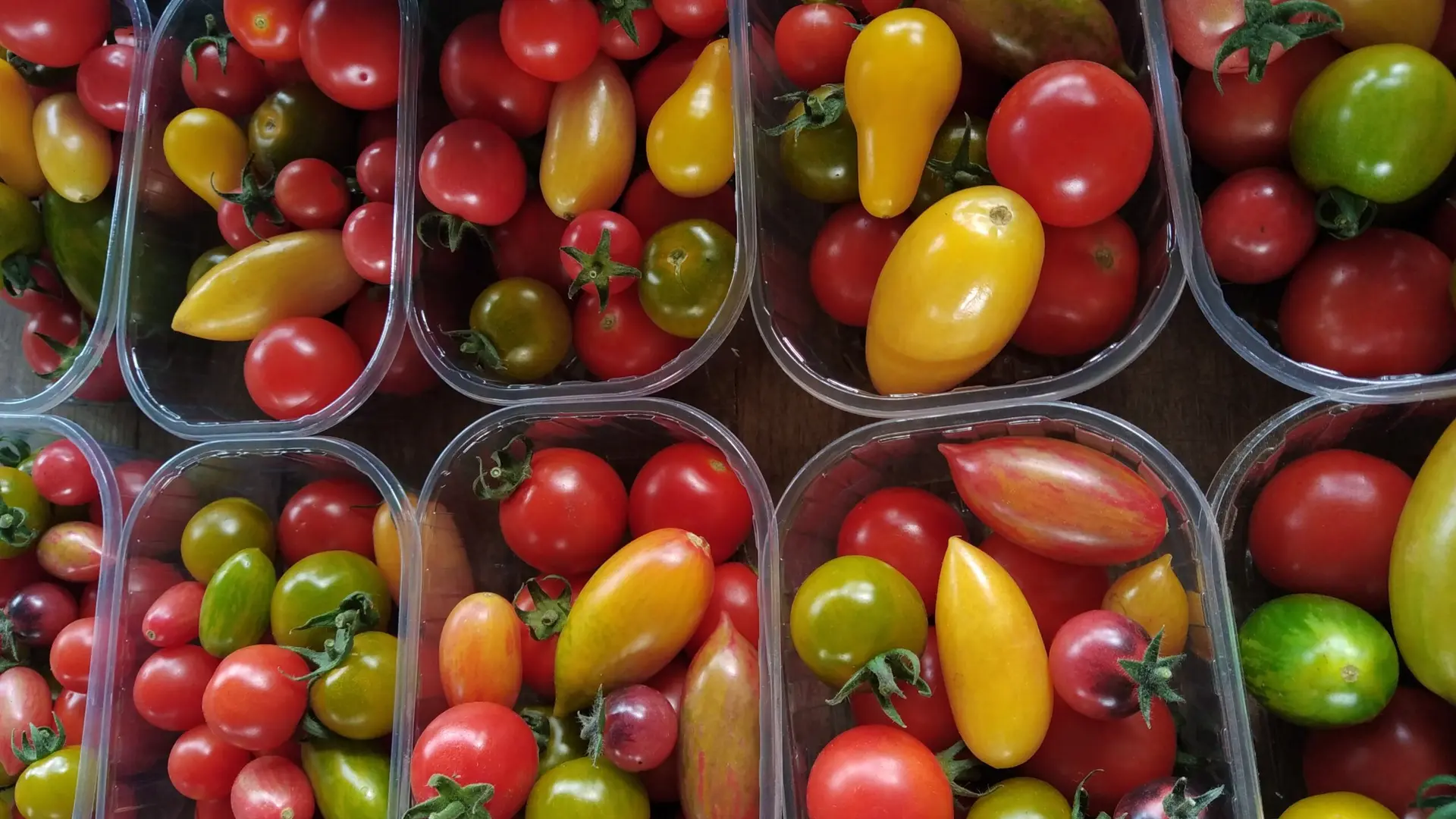 diverses tomates
