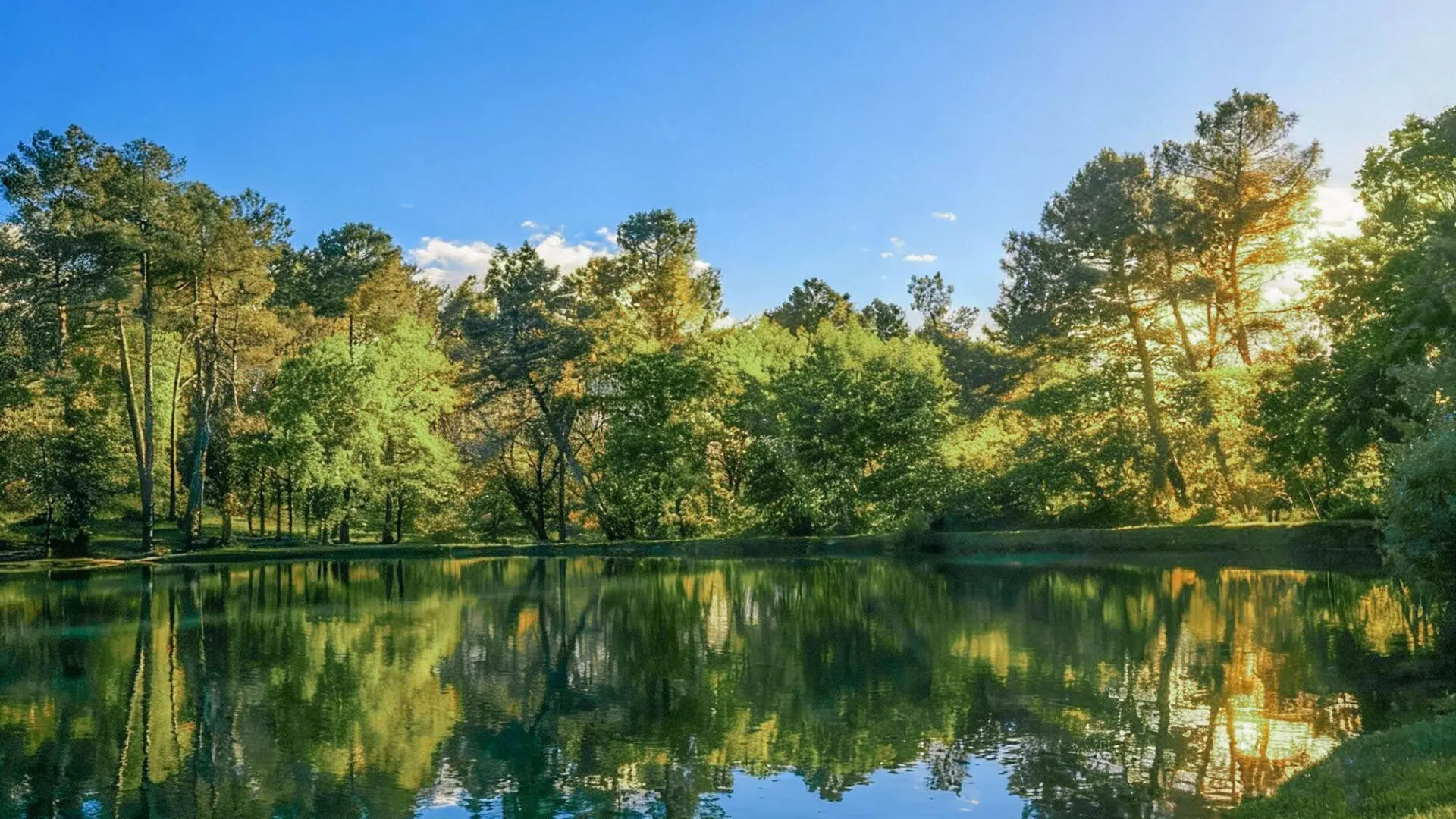 étang gaia ecolodge