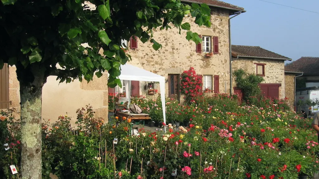 fête rose 1 crédit mairie st yrieix sous aixe