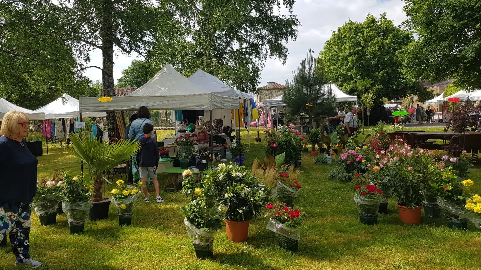 fête rose 5 crédit mairie st yrieix sous aixe