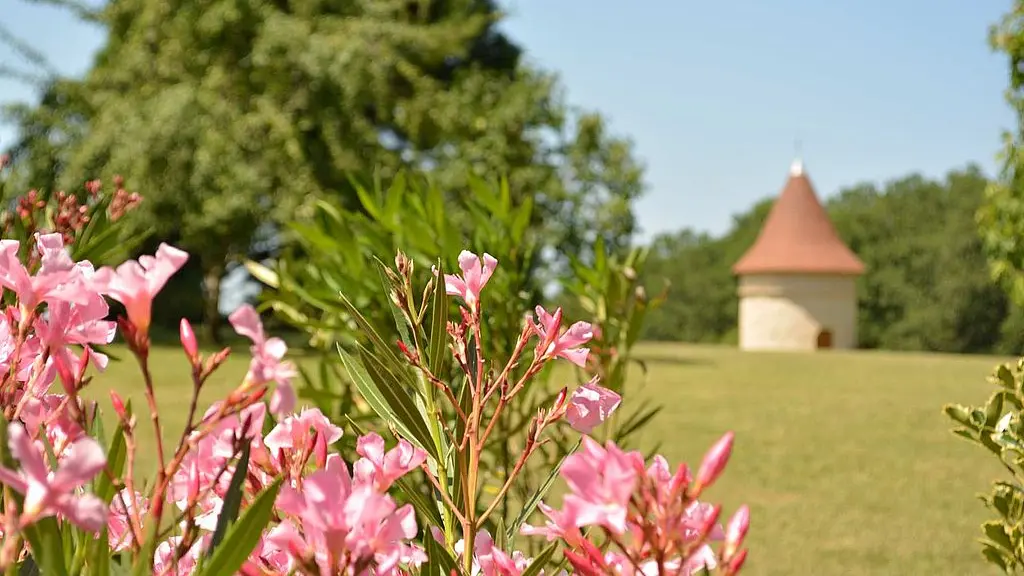 Mielys Sphere Ferme pédagogique Périgord Dordgne ateliers enfant vacances