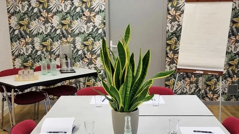 Hôtel Le Tropicana - Salle de réunion