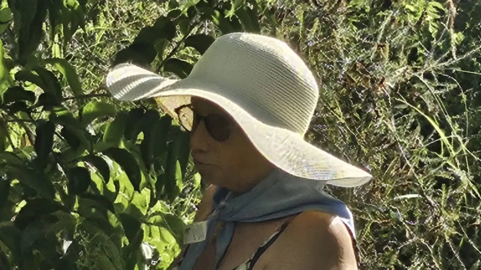 isidra vicente