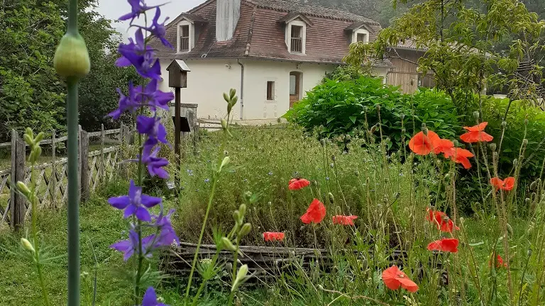 Un jardin coloré