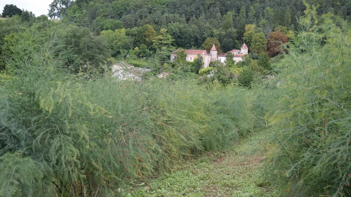 la-ferme-de-marcel-st-aquilin (12)