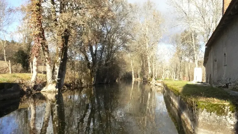 le bief le long du moulin