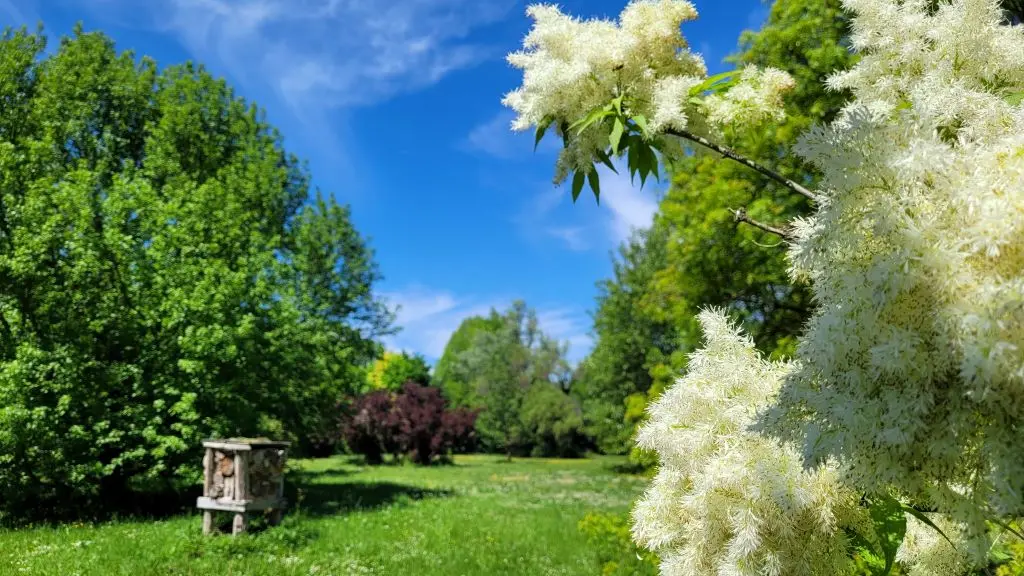 parc-botanique-neuvic