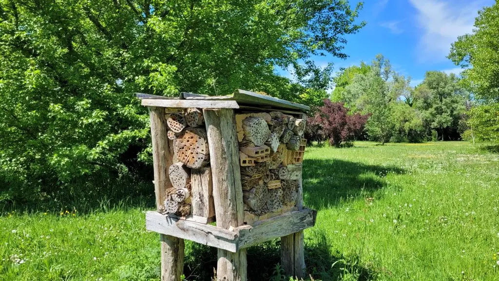 parc-botanique-neuvic