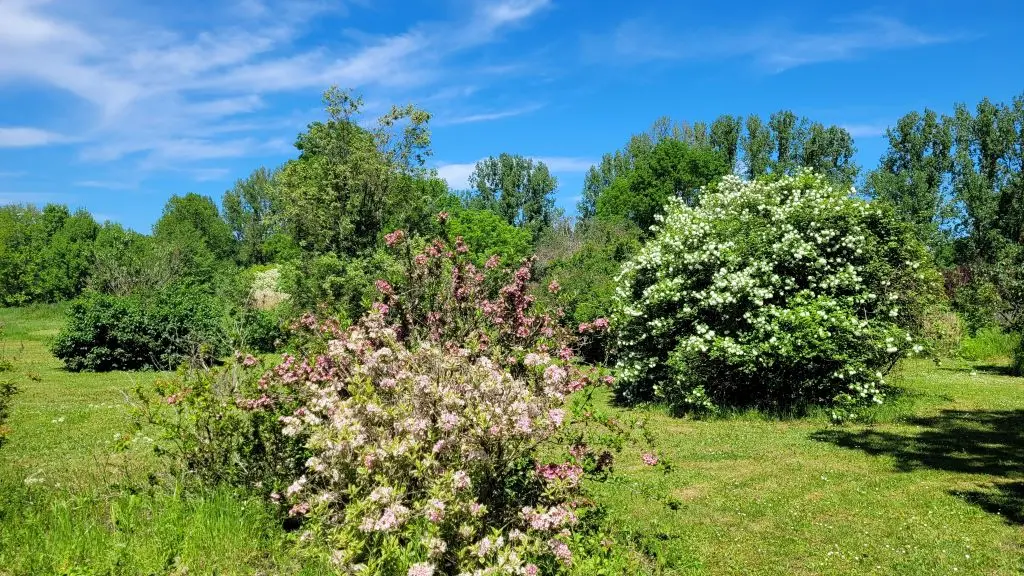 parc-botanique-neuvic