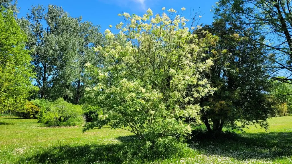 parc-botanique-neuvic