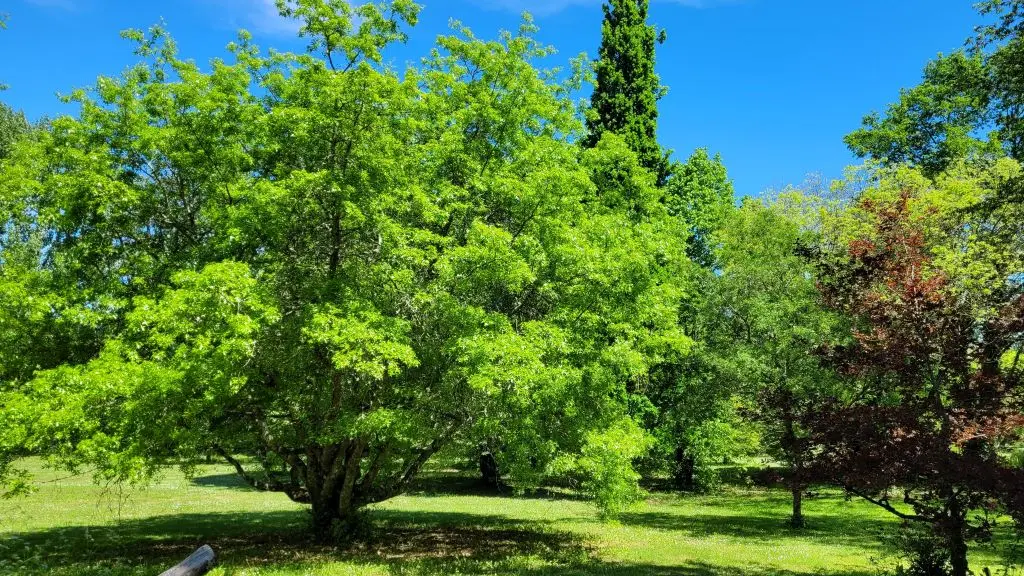 parc-botanique-neuvic