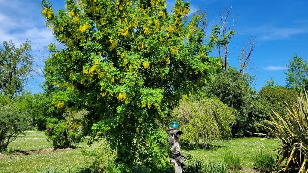 parc-botanique-neuvic