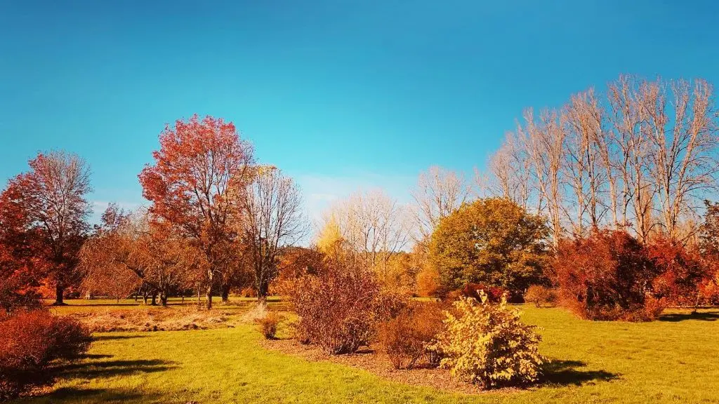 parc botanique neuvic couleurs d'automne