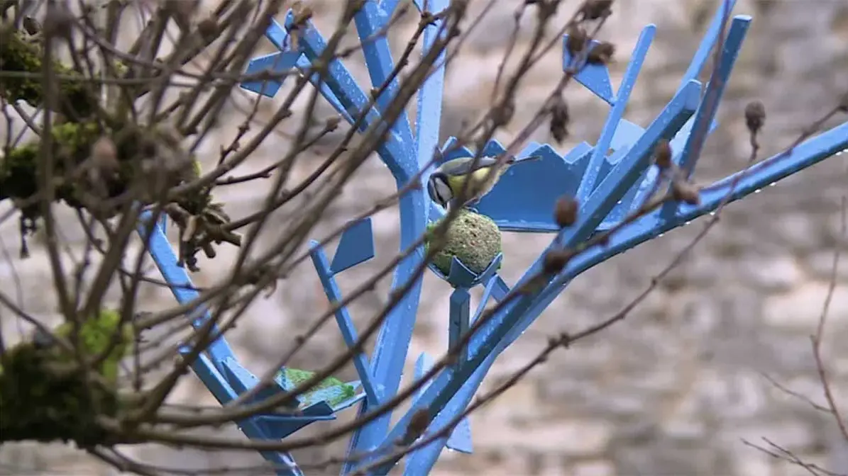 POC Porte oiseau et compagnie