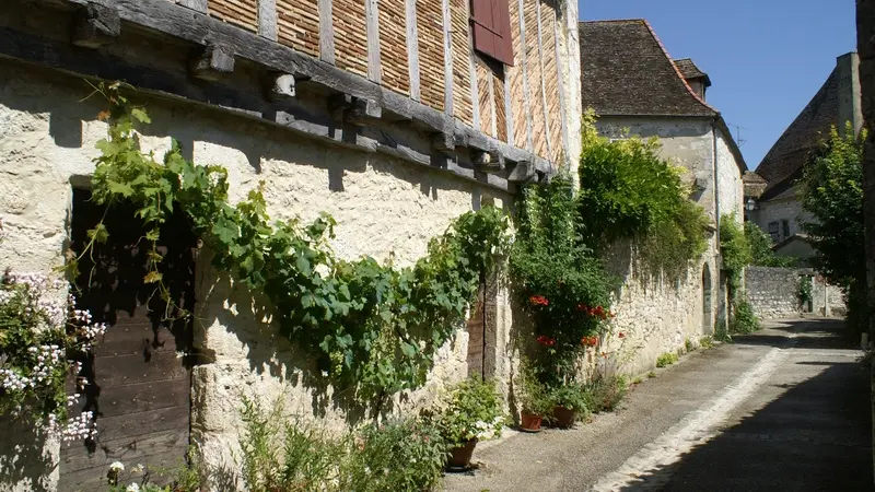 rue de l'ancienne poste vigne et fleurs