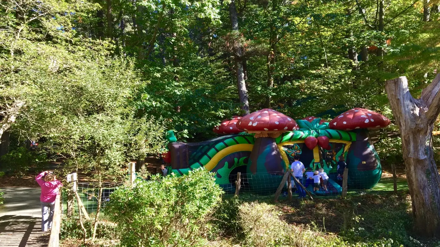 wowpark_jeugonflable_urrugne
