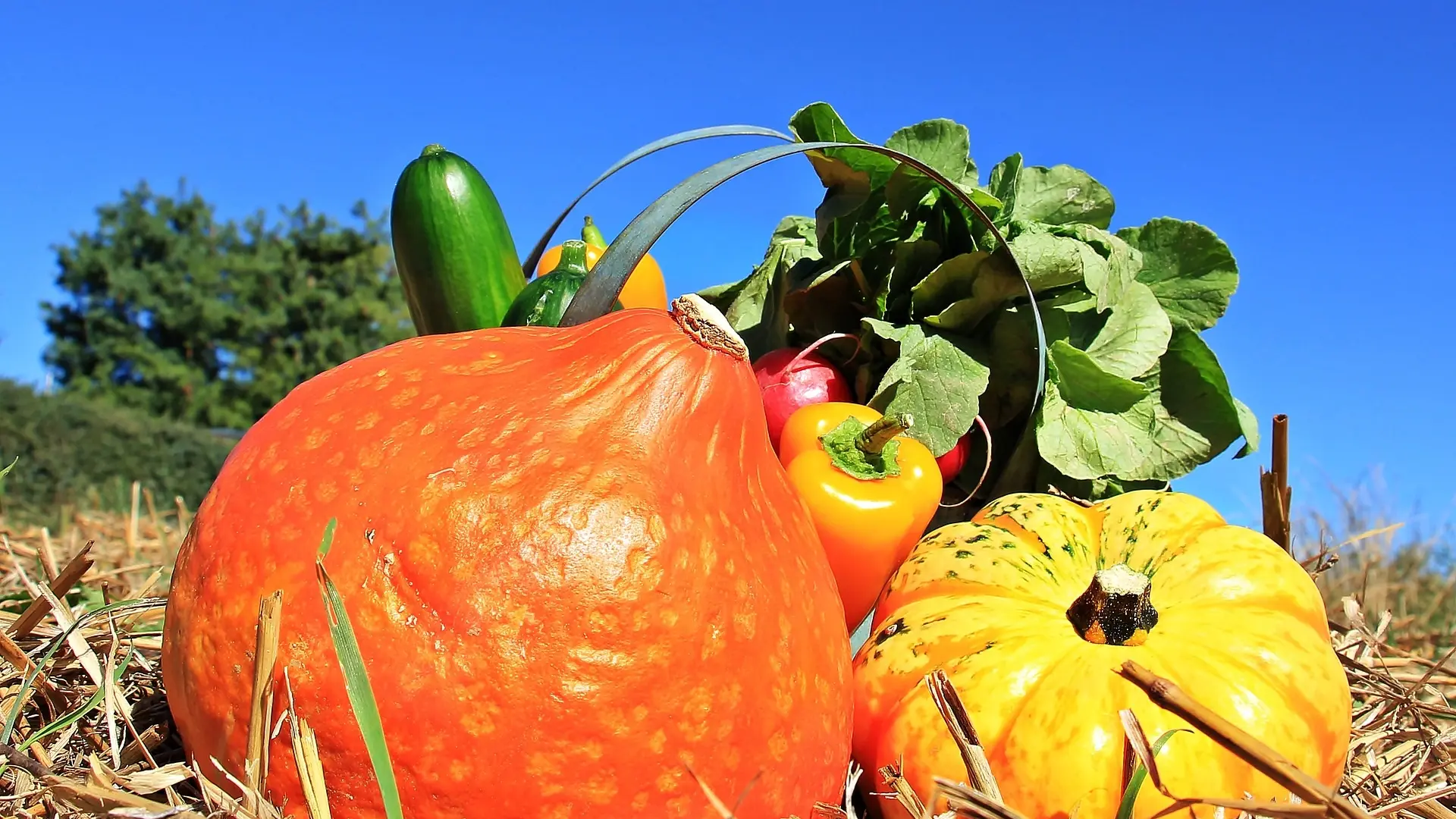 Légumes