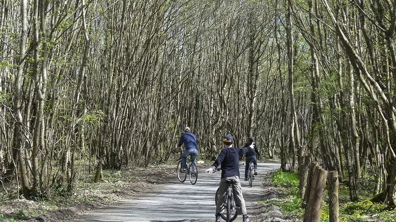 vélo route voie verte 06.04 (9)