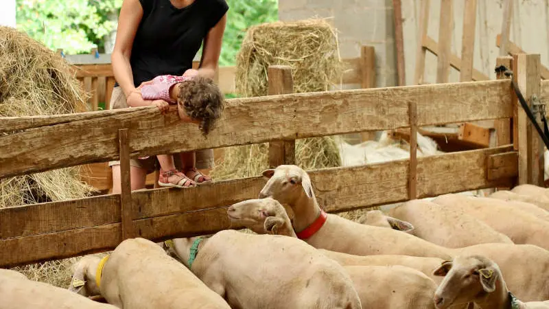 visite-ferme-pedagogiqueIII
