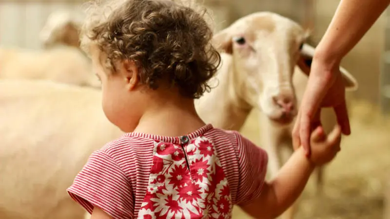 visite-ferme-pedagogique