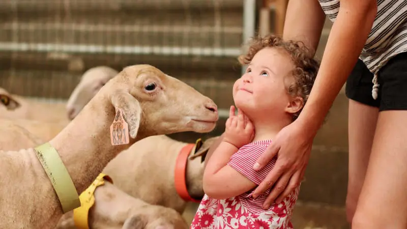 visite-ferme