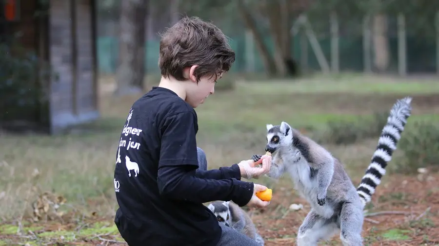 zoo-labenne-lemurien-kid
