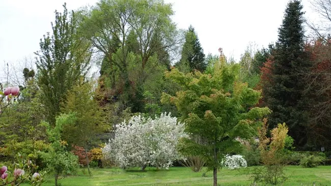 arboretumadeline