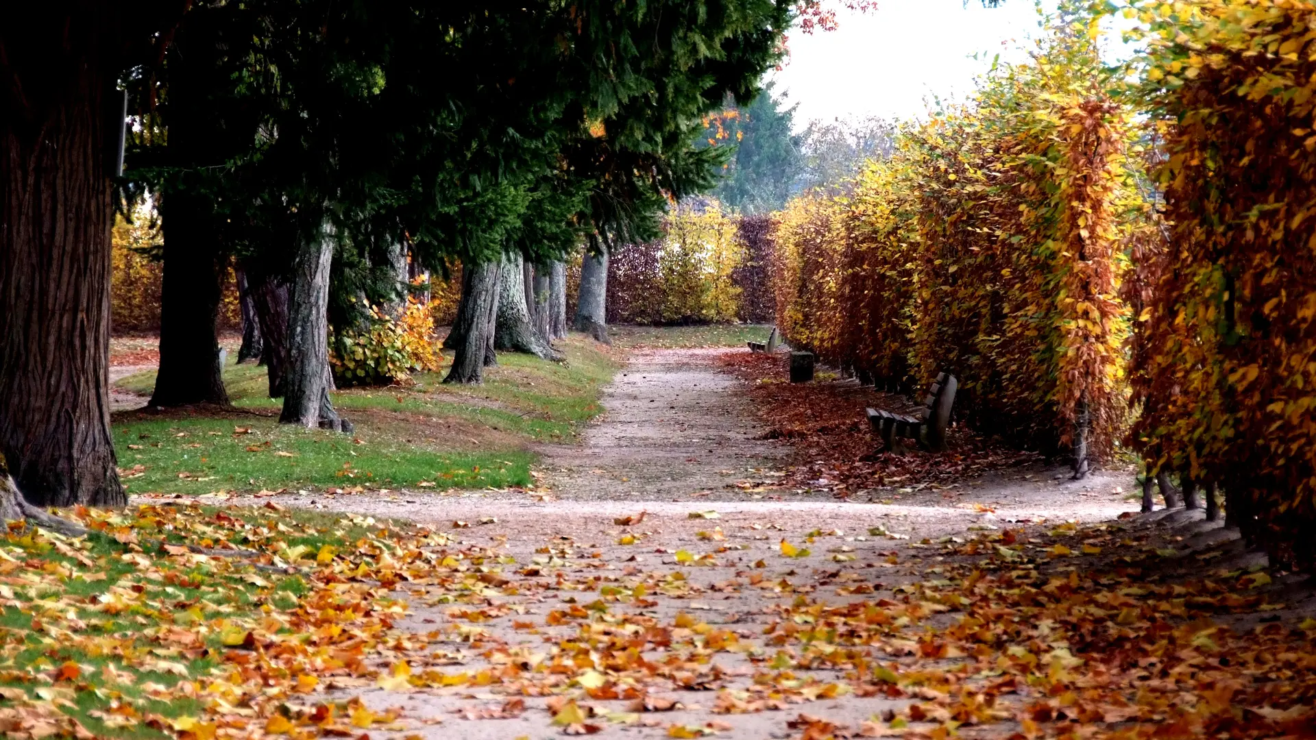 Grands Jardins