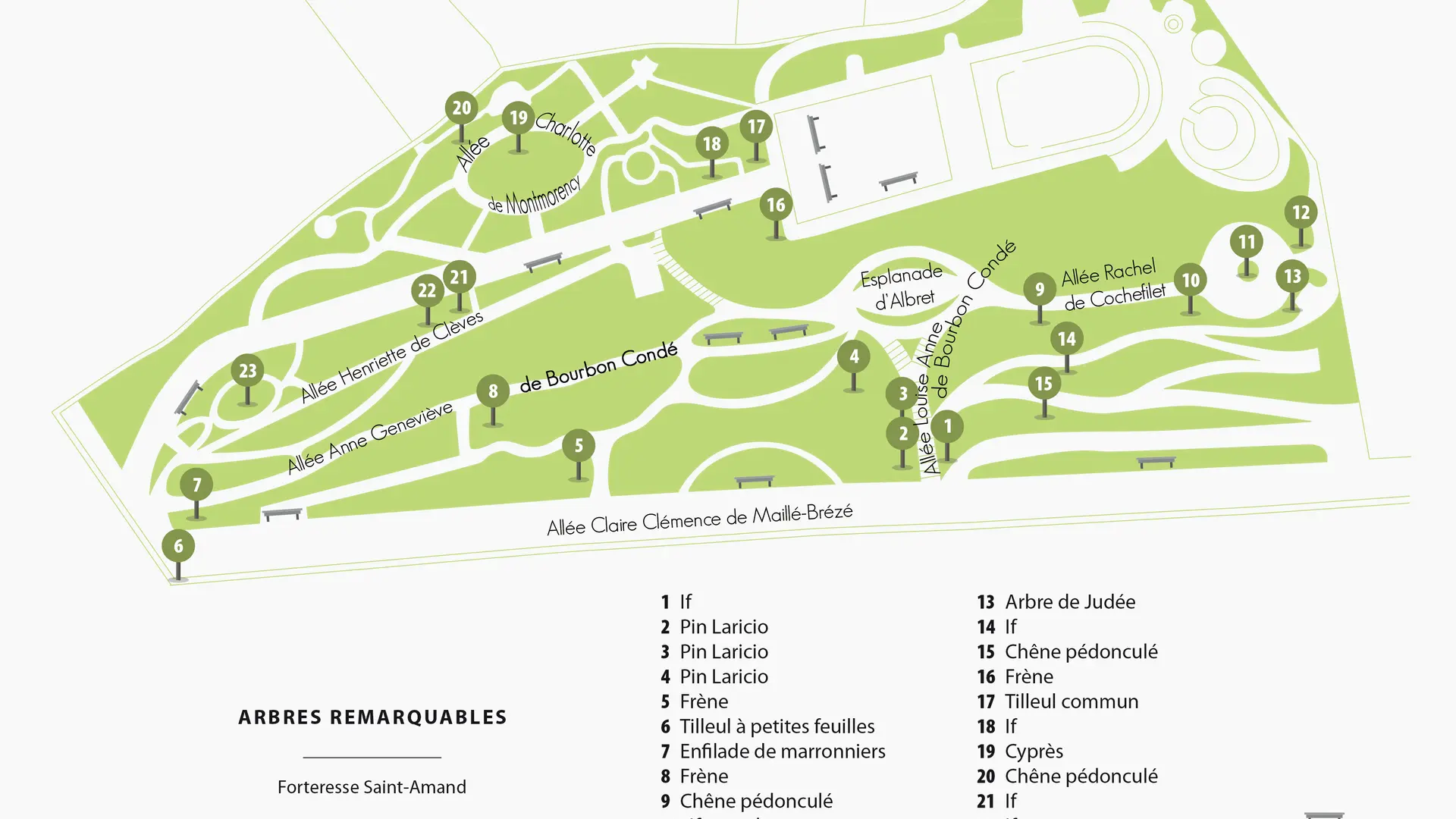 plan-Montrond